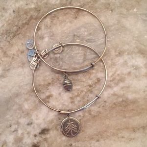 Alex and Ani bracelets - set of 2